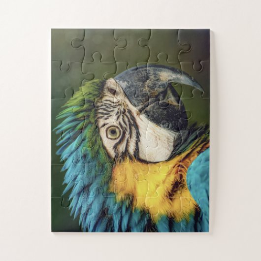 Macaw Parrot Bird Animal Puzzle (Vertikal)