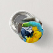 Macaw Parrot Bird farbiges Tierportrait Button (Vorne & Hinten)