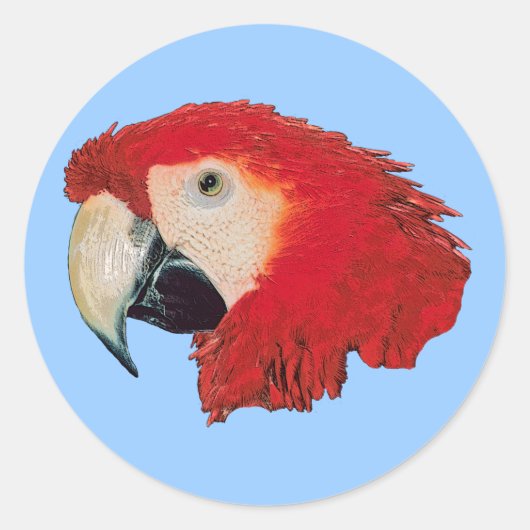Macaw Parrot Bird Stickers (Vorderseite)