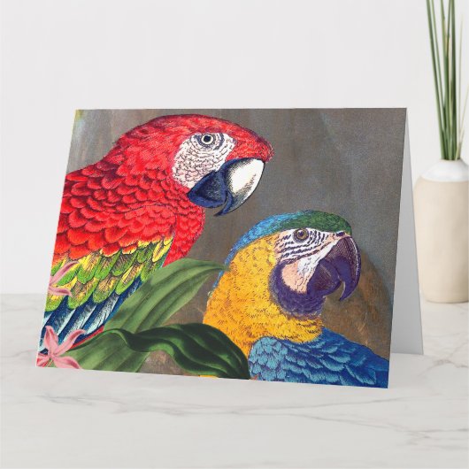Macaw Parrot Birds Happy Birthday Big Card Karte (Vorderseite)