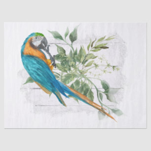 Macaw Parrot Blue Orange Eucalyptus Watercolor Seidenpapier