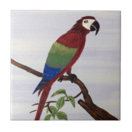 Macaw Parrot Fliese