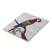 Macaw Parrot Fliese (Seite)