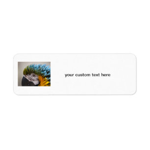 Macaw Parrot - Labels