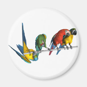 Macaw Parrot Magnet