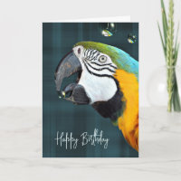 Macaw Parrot mit Bläschen Geburtstag