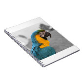 Macaw Parrot Notizblock (Rechte Seite)
