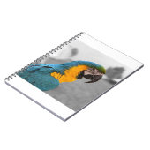 Macaw Parrot Notizblock (Linke Seite)