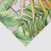 Macaw Parrot Orange Gold Tropenfarben Seidenpapier (Detail)