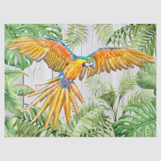 Macaw Parrot Orange Gold Tropenfarben Seidenpapier (Vorderseite)