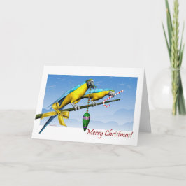 Macaw Parrot Ornament Candy Cane Weihnachtskarte Feiertagskarte