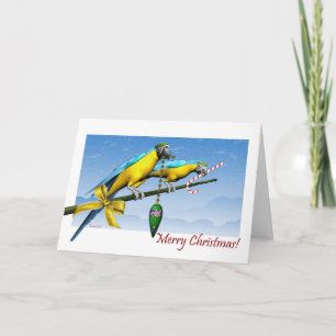 Macaw Parrot Ornament Candy Cane Weihnachtskarte Feiertagskarte