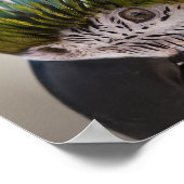 Macaw Parrot Portrait - Fine Art Print Poster (Ecke)