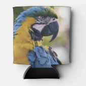 Macaw Parrot Portrait Foto Dosenkühler (Vorderseite)