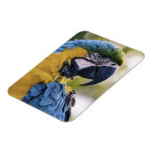 Macaw Parrot Portrait Foto Magnet (Linke Seite)