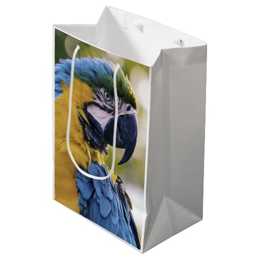 Macaw Parrot Portrait Foto Mittlere Geschenktüte (Vorderseite Schrägansicht)