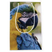 Macaw Parrot Portrait Foto Mittlere Geschenktüte (Vorderseite)