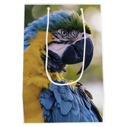 Macaw Parrot Portrait Foto Mittlere Geschenktüte (Rückseite)