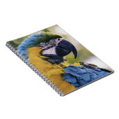 Macaw Parrot Portrait Foto Notizblock (Rechte Seite)