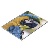 Macaw Parrot Portrait Foto Notizblock (Linke Seite)