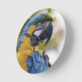 Macaw Parrot Portrait Foto Runde Wanduhr (Winkel)