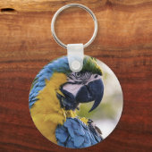 Macaw Parrot Portrait Foto Schlüsselanhänger (Vorderseite)
