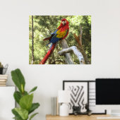 Macaw Parrot Poster (Heimbüro)