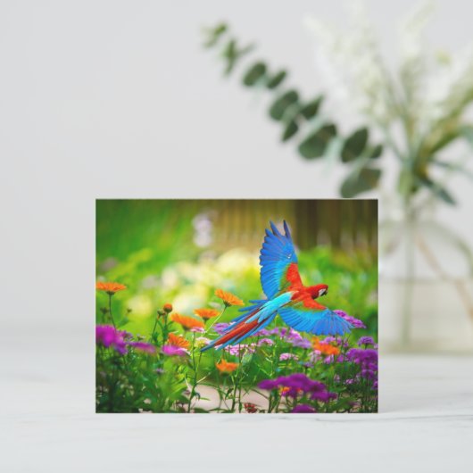 Macaw Parrot Postkarte (Stehend Vorderseite)