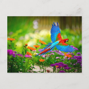 Macaw Parrot Postkarte