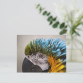 Macaw Parrot - Postkarte (Stehend Vorderseite)