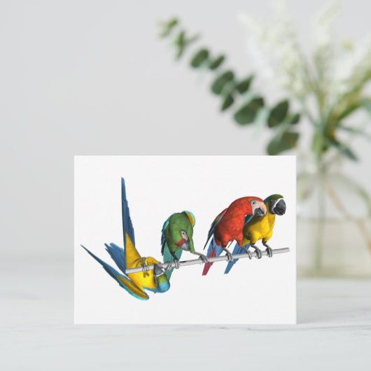 Macaw Parrot Postkarte (Stehend Vorderseite)