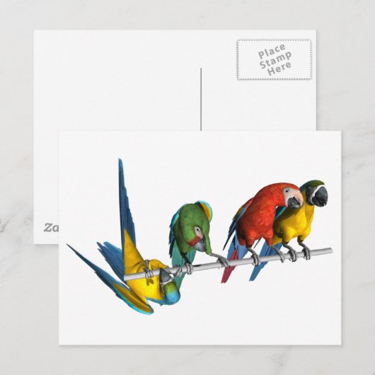 Macaw Parrot Postkarte (Vorne/Hinten)