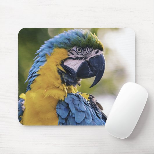 Macaw Parrot Profile Portrait Photograph Mousepad (Mit Mouse)