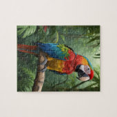 Macaw Parrot Puzzle (Horizontal)