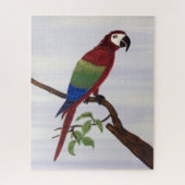 Macaw Parrot Puzzle (Vertikal)