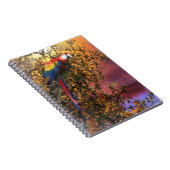 MACAW PARROT RAIN FOREST OUTPOST NOTIZBLOCK (Rechte Seite)