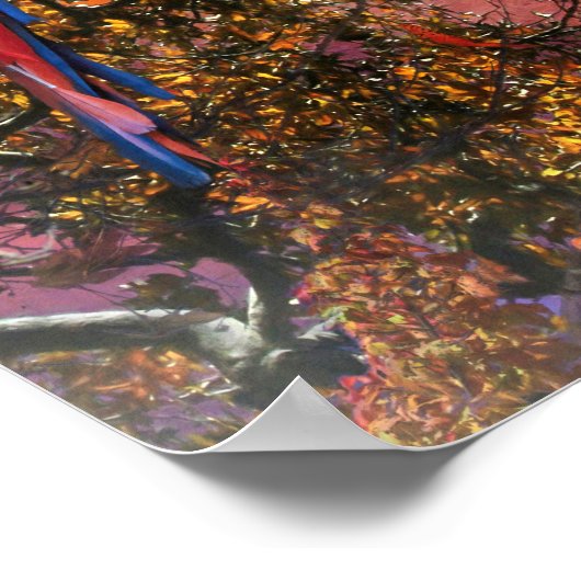 MACAW PARROT RAIN FOREST OUTPOST POSTER (Ecke)