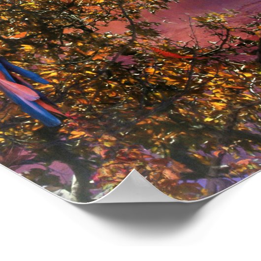 MACAW PARROT RAIN FOREST OUTPOST POSTER (Ecke)