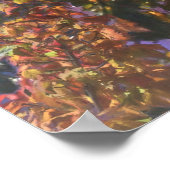 MACAW PARROT RAIN FOREST OUTPOST POSTER (Ecke)