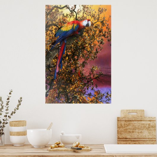 MACAW PARROT RAIN FOREST OUTPOST POSTER (Küche)