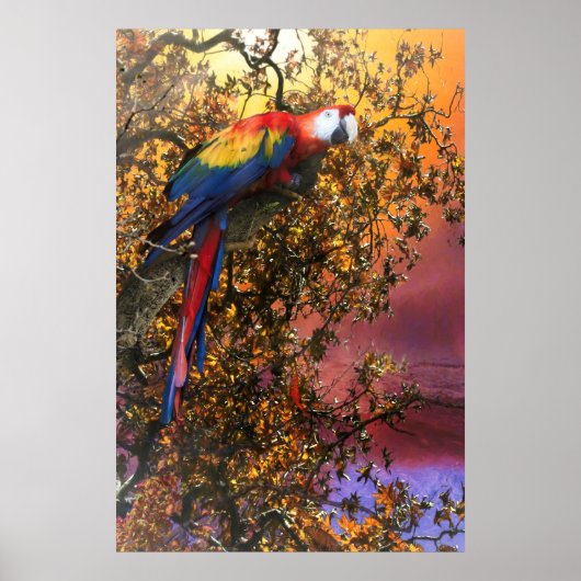 MACAW PARROT RAIN FOREST OUTPOST POSTER (Vorne)