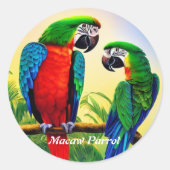 Macaw Parrot Runder Aufkleber (Vorderseite)