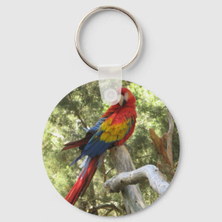 Macaw Parrot Schlüsselanhänger