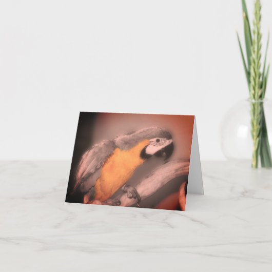 Macaw Parrot Schwarz-weiße partielle Farbnotierkar Dankeskarte (Vorderseite)