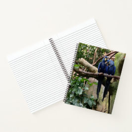 Macaw Parrot Spiral Notebook Notizblock
