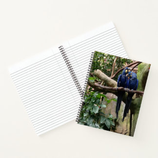 Macaw Parrot Spiral Notebook Notizblock