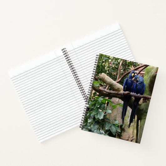 Macaw Parrot Spiral Notebook Notizblock (Innenseite)