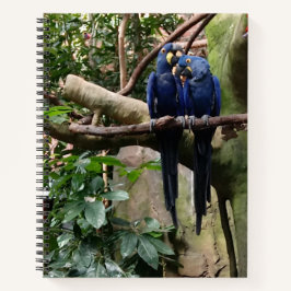 Macaw Parrot Spiral Notebook Notizblock
