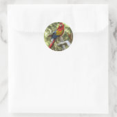 Macaw Parrot Sticker (Tasche)