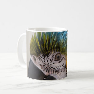 Macaw Parrot - Tasse